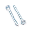 Zinc Din571 Steel Stainless Bolts M6 M20 M16 Bolt M12 M10 8.8 4.8 Hex Coach Lag Screw